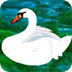 雷迪克：身體對抗不靠戰(zhàn)術(shù)布置 我們是身體對抗最強(qiáng)硬的球隊之一