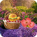 乐竞·体育APP下载安装官方版官方APP