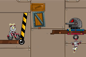 �����˳��