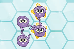 ��צ��������