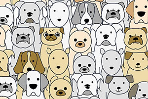 �ҳ����͹�