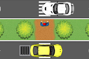 ��æ����·