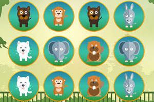 ���￨�Ƽ���