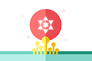 �������Ҳ�������