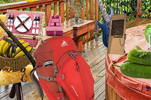 ����֤��