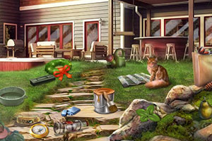 ��ʧ�Ĺ���