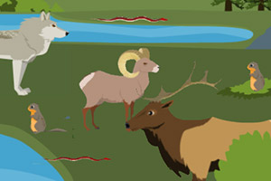 ����������