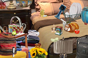 �ɳ��ķ���