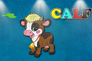 ����Ķ���ͼ��4