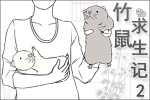 ����������2