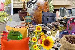 ��������Ʒ