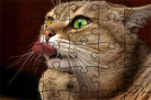 ��Ȥ�Ķ���ƴͼ