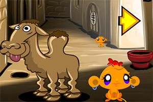 ��С�￪��ϵ��161