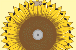 С����Թ���