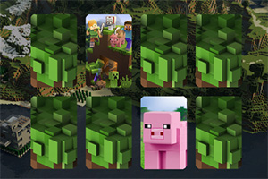 �����˼��俨