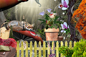 ����Ĺ���