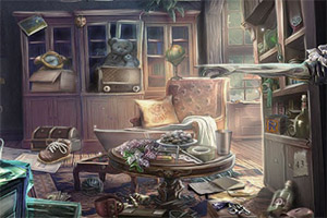 ��̽������