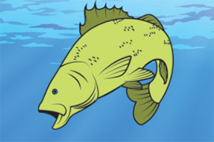 ���ͼ����