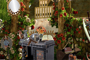 �����Ȩ��