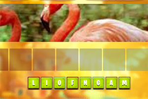 ��ͼƴ����