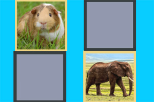 ͼ�μ������ս