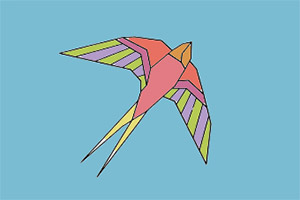 ������ֽͼ����