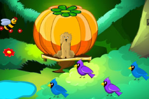 �ٻ�԰������