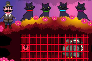 ������찵ɭ��