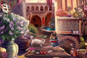 �����������