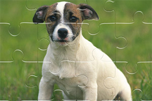 �ö���С��ƴͼ