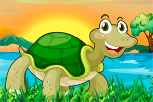 ƴһƴ�ɰ�����