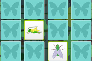 С������俨