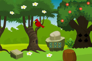 �����Ĺ�԰����