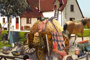 ��Ժ�е���