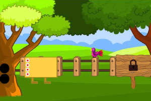 �ɰ���������