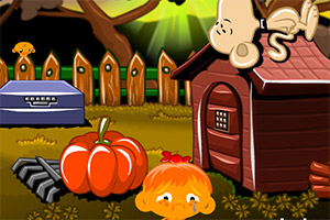 ��С�￪��ϵ��569