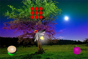 ����ө���ҹ��