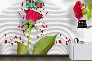 ����ǽ�᷿��