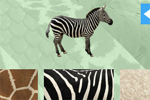 �����Ƥ��