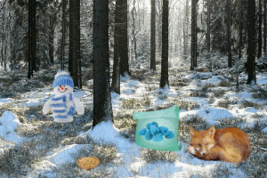 �����ɾ�ɭ��̽��