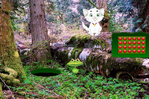 ��èɭ������