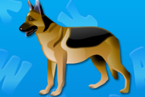 ������ƴһ��