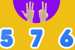 ʶ������