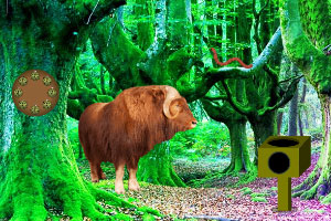 ��ţɭ������