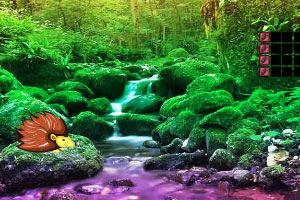 ��ľ���������