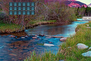 �������ɭ��