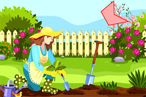 �����ͼ��