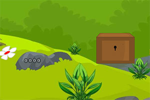 ħ����԰������