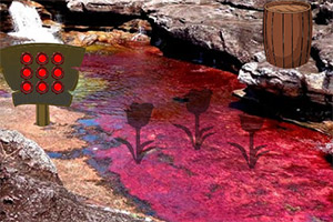 �ʺ������