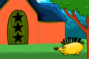 ��Ԯ��ɫèͷӥ